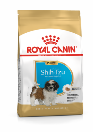 BHN ShihTzu Puppy BHN Shih Tzu Puppy 1.5 kg
