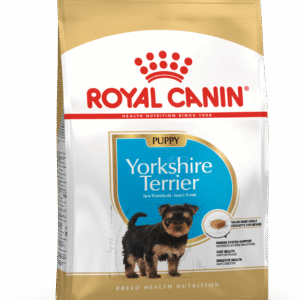 BHN Yorkshire Puppy 1.13 kg