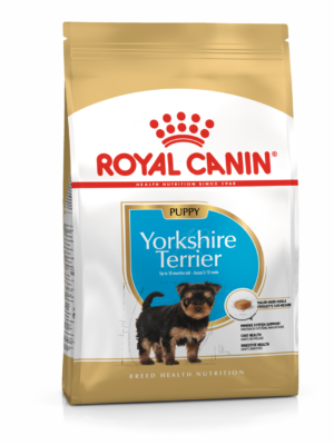 BHN Yorkshire Puppy BHN Yorkshire Puppy 1.13 kg