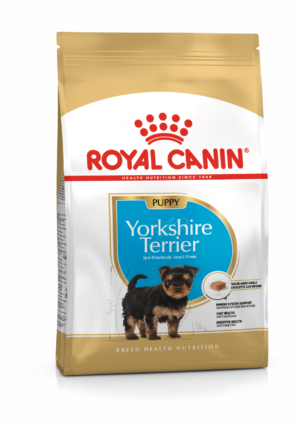 BHN Yorkshire Puppy BHN Yorkshire Puppy 1.13 kg