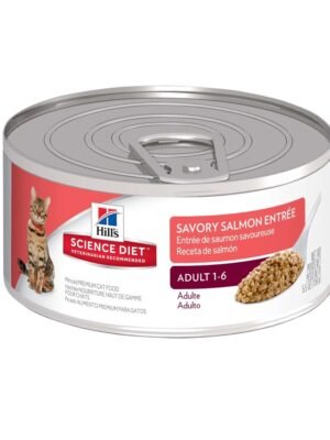 FELINE ADULT SALMON 5.5OZ Comida Húmeda Hills Science Diet Feline Adult Salmón 5.5 Oz