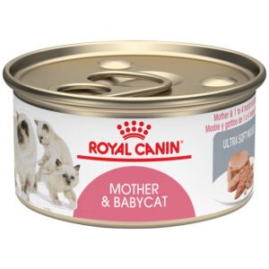 FHN Mother & Baby Cat Wet