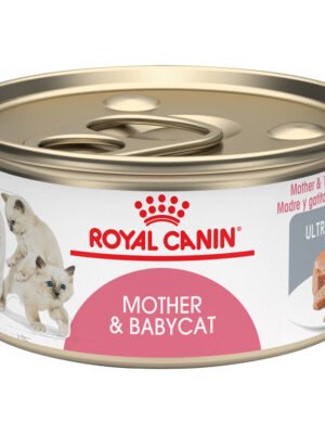 FHN Mother & Baby Cat Wet