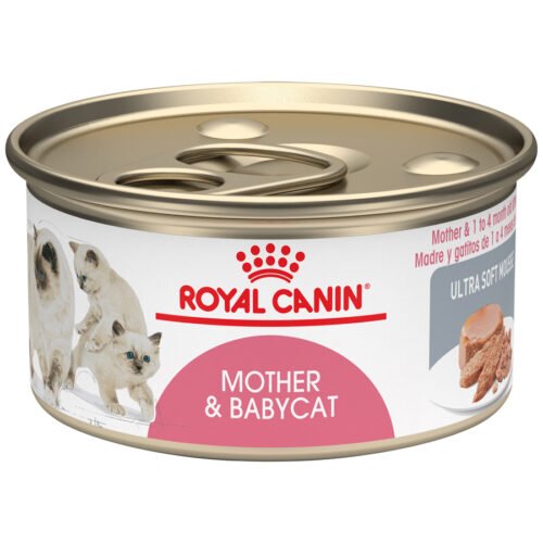 FHN Mother & Baby Cat Wet
