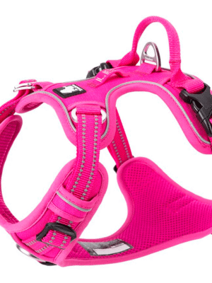 Arnés Anti tirones XS