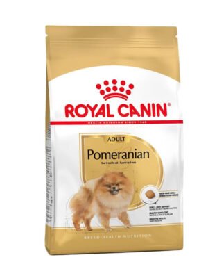 BHN Pomeranian Adult