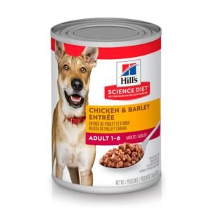 Canine Adult Chicken 13 Oz