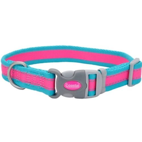 Coastal Perro Pro Fucsia Con Azul Collar L