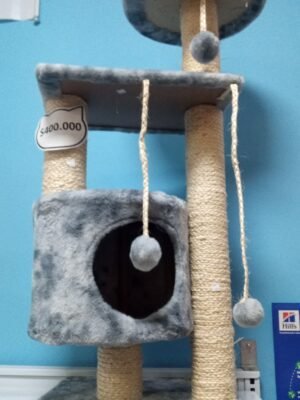 Gimnasio Para Gatos 04