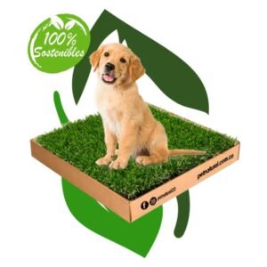 Sanitario Para Perros
