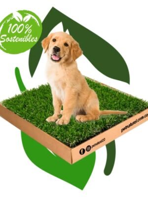 Sanitario Para Perros