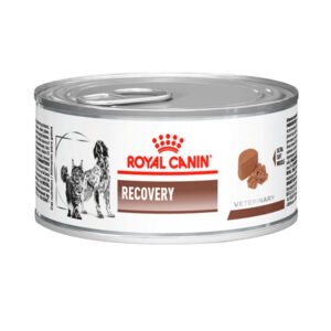VHN Recovery Wet 145 g