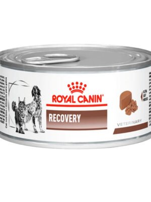 VHN Recovery Wet 145 g