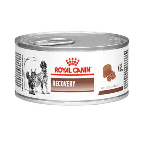 VHN Recovery Wet 145 g