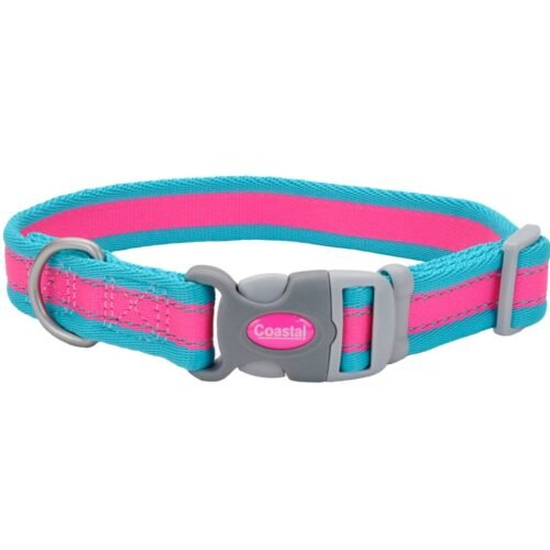 Collar Coastal Pro Para Perro Fucsia Con Azul S