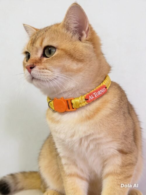 39cbfb21-06f6-40da-b863-e1df22fc262c Collar Tejido Para Gato