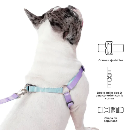 4 Arnés Para Perro (Totto) Brunno M