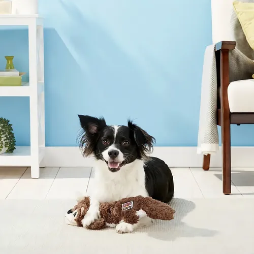 D_NQ_NP_828290-MLU78911208878_092024-O Juguete Para Perro Peluche Kong Scrunch Knots Zorro / Ardilla