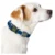 Collar Para Perro Hunter Hilo