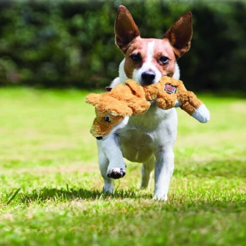 Kongcrunchzorro1 Juguete Para Perro Peluche Kong Scrunch Knots Zorro / Ardilla