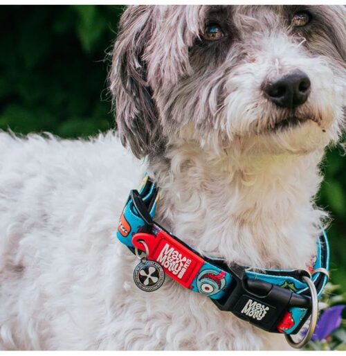 Collar Para Perro Max & Molly Original Retro Blue / Frenzy The Shark / Sailor
