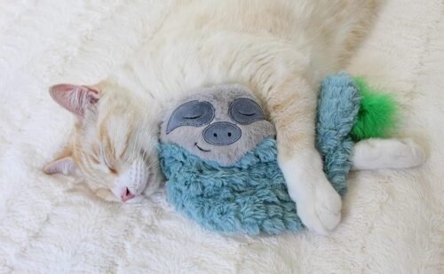 e1e5004c-b35b-4f08-90e4-2b5cb8856b69.__CR0,36,1500,928_PT0_SX970_V1___ Juguete Para Gato Peluche Petstages Purr Pillow