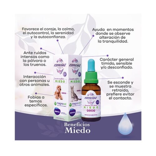 5959859805980000028-3-min Esencia Floral Miedo En Gotas 30 ml
