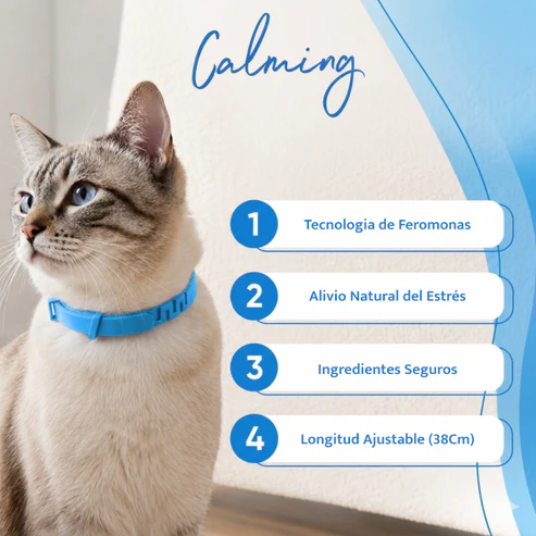 Collar Calming Para Gato