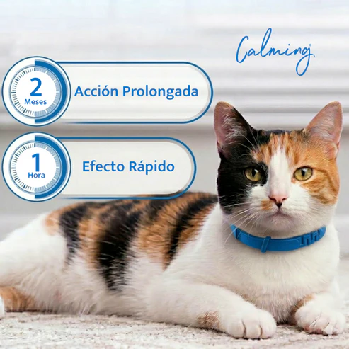 Collar Calming Para Gato