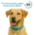 Collar Calming Para Perro