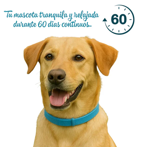 Collar Calming Para Perro