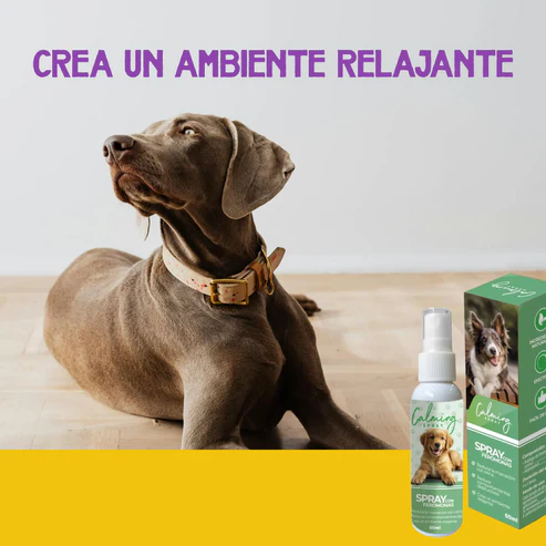 Calming Spray Perro 60ml