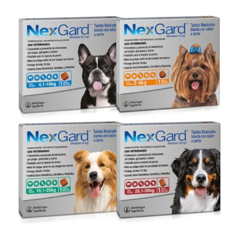 Antipulgas NexGard Para Perros